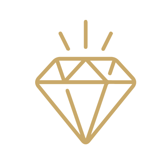 CORE Prestige icon