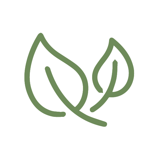 CORE Natural icon